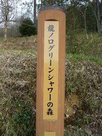 龍ノ口グリーンシャワーの森
