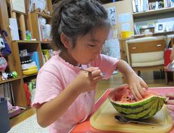 suica