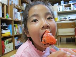 suica