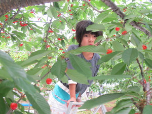 やまがた2012