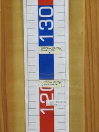 １２３．５