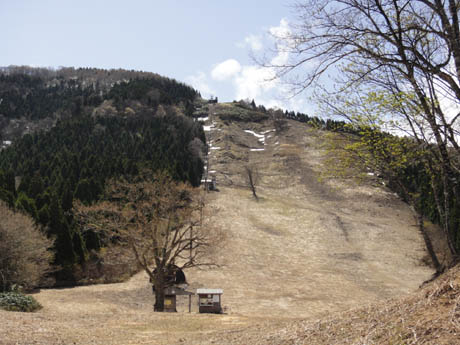 110507氷ノ山