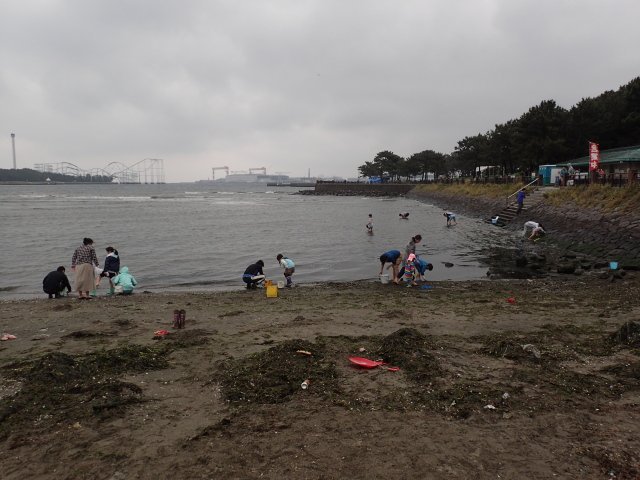 横浜 海の公園で潮干狩りデイキャンプ ファミリーキャンプのちソロキャンプ