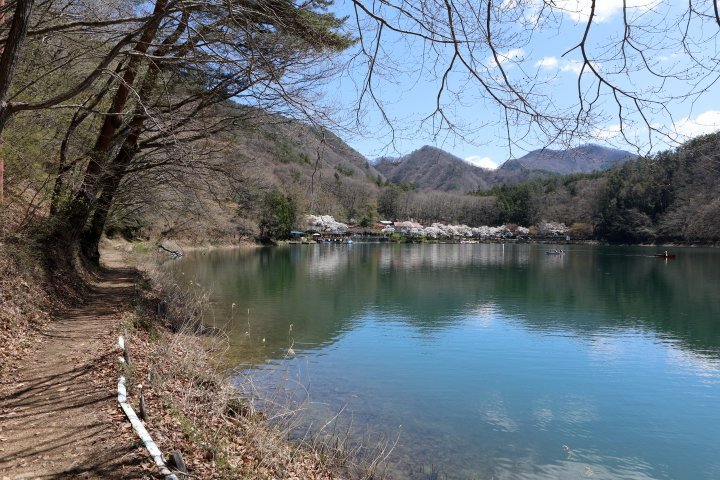 四尾連湖水明荘 花見キャンプ