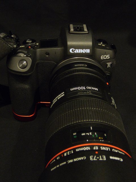 CANON EOS R