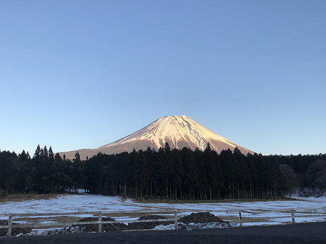 1月27～28日 ハートランド朝霧（一泊二日）父子＆ワンコキャンプ　その２：一日目午後～就寝まで