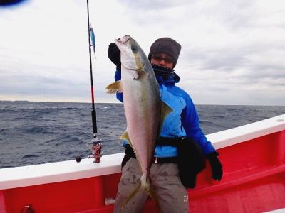 Sotobo Yellow Tail 2015 Part 1
