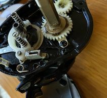アンタレスDCMD重症だった・・・