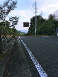 朝ラン＆アイテム追加