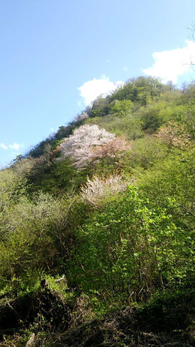 名栗川へ　ＧＯ！