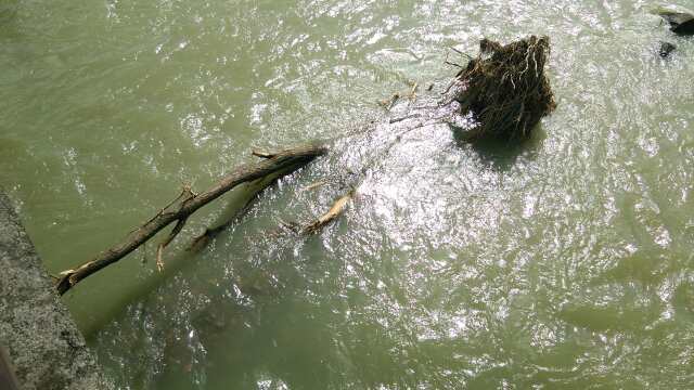 里帰り　釣行
