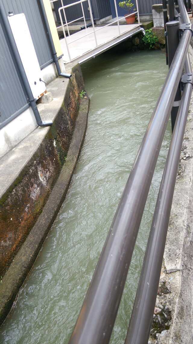里帰り　釣行