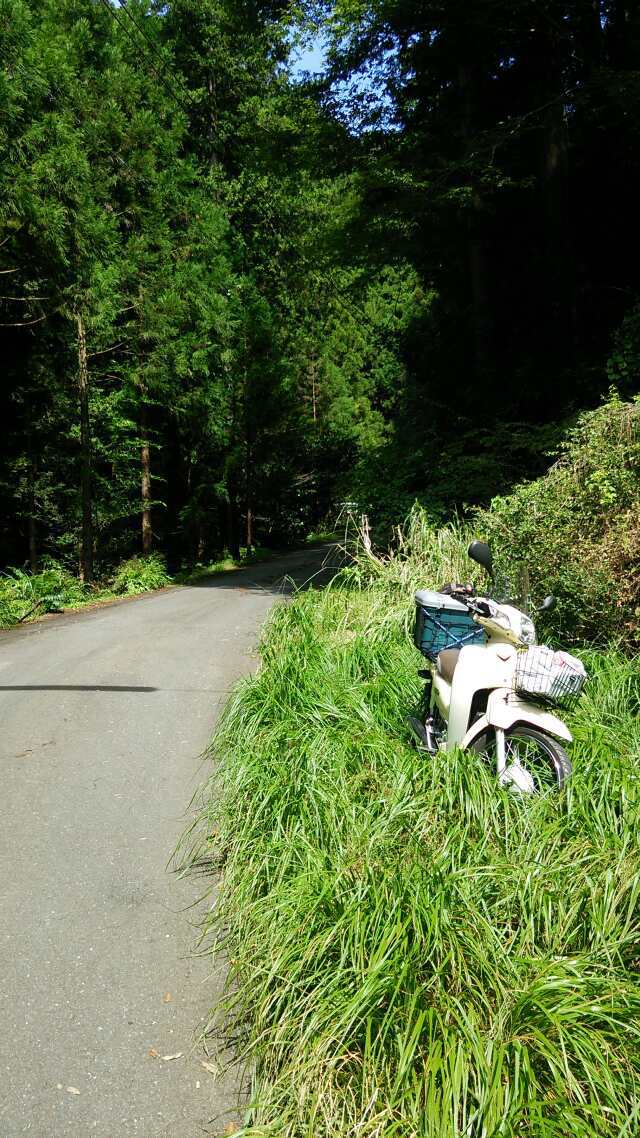 名栗川へGO!　赤腹イワナ