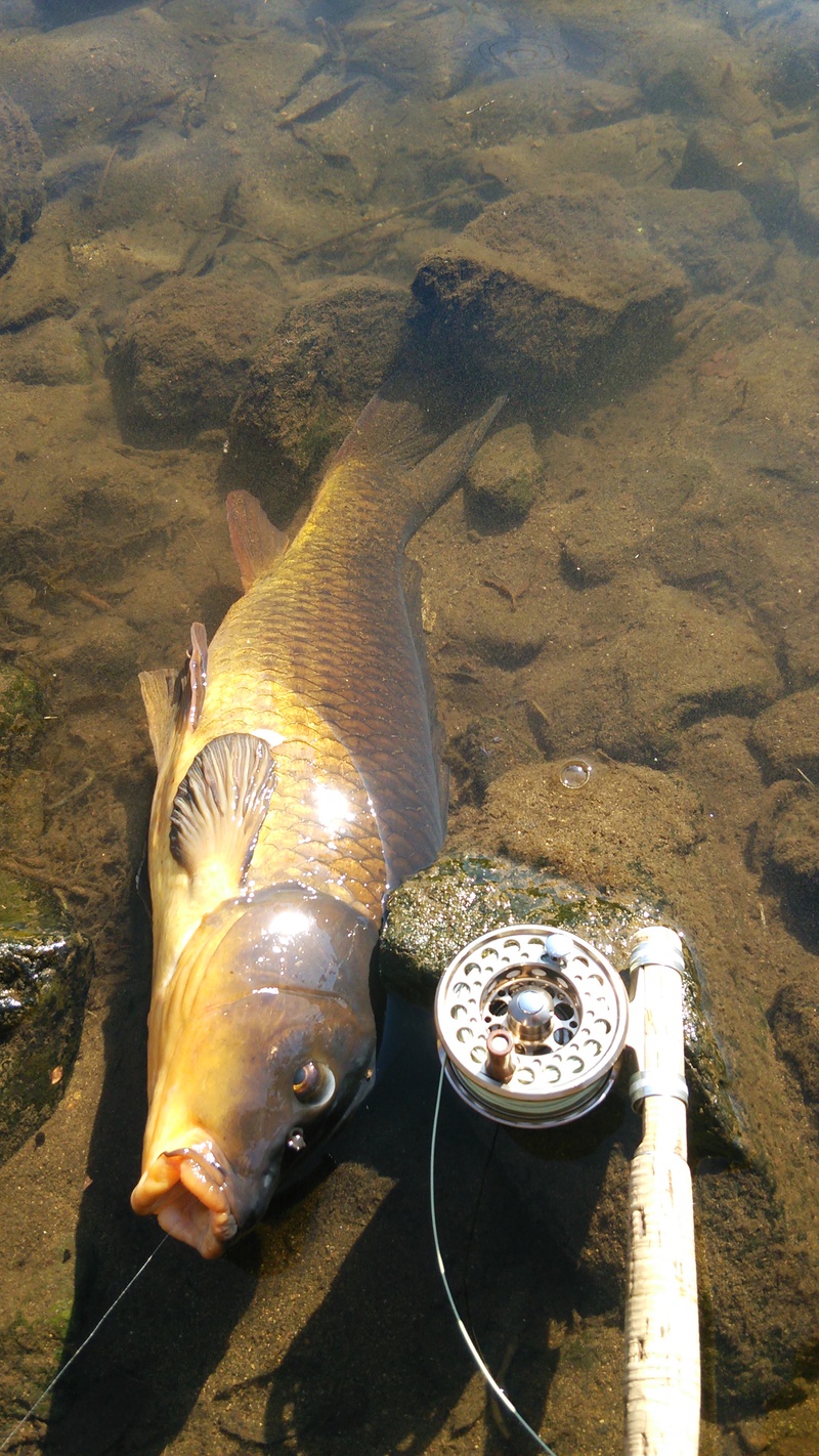 なぜか初釣りの写真が消えた？