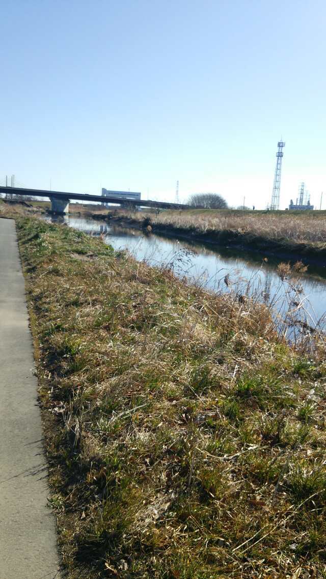 ボラはどこ？