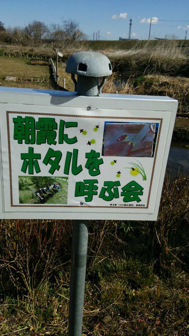 ボラはどこ？