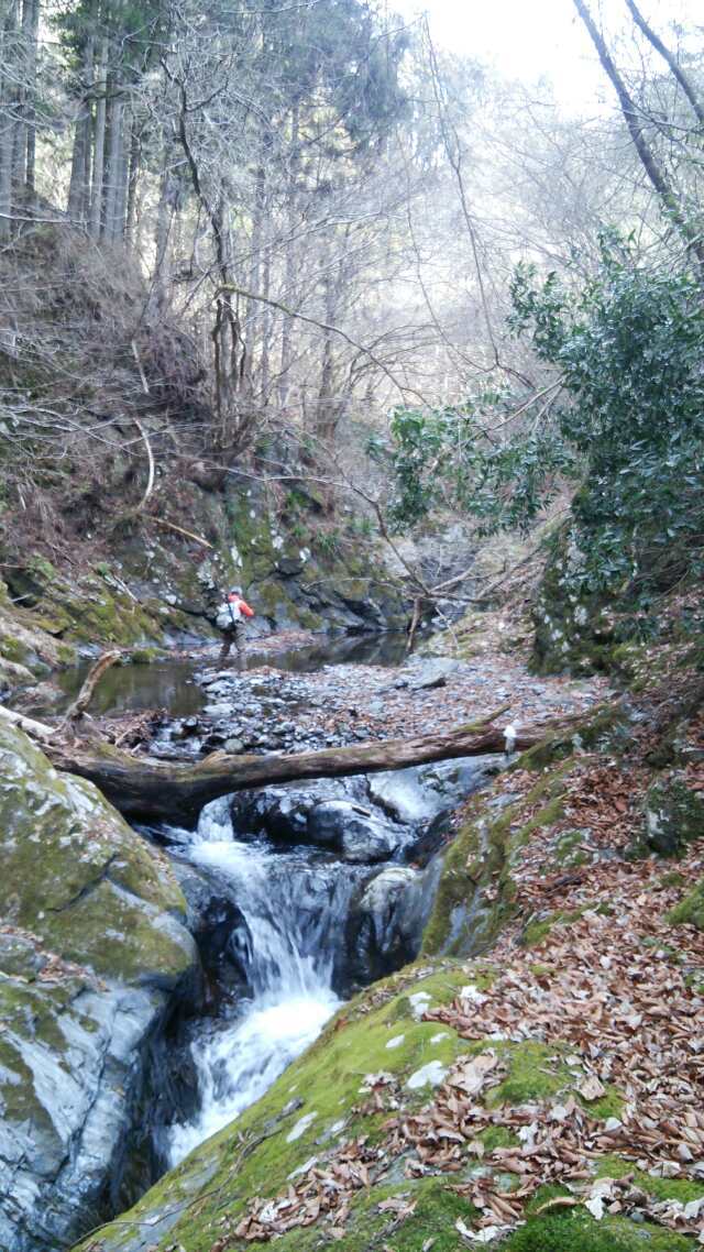 川苔谷へＧＯ！