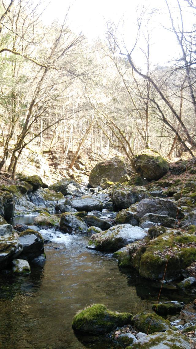 川苔谷へGO　二回目の巻