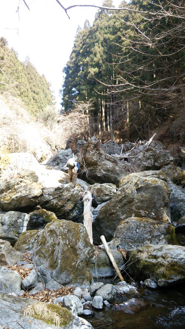 川苔谷へGO　二回目の巻