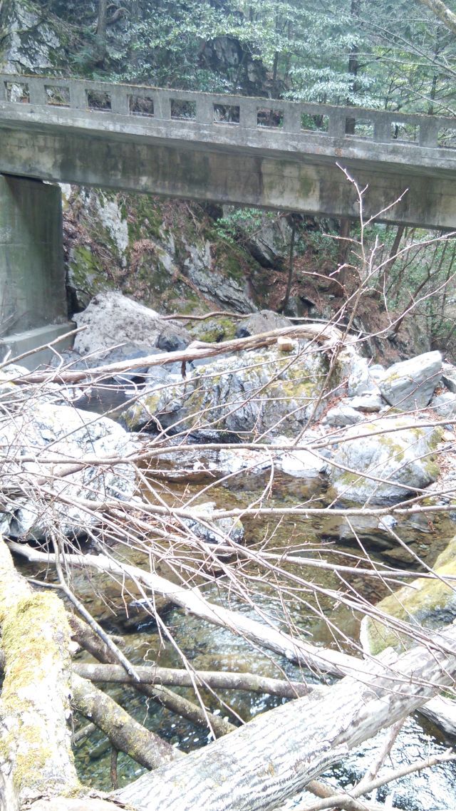 川苔谷へGO　二回目の巻