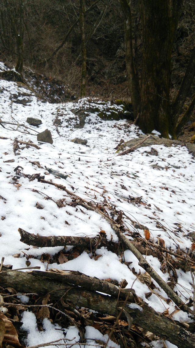 川苔谷へGO　二回目の巻