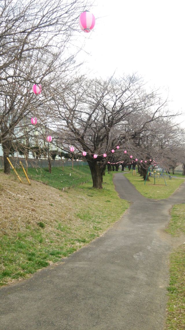 川苔谷へGO　二回目の巻