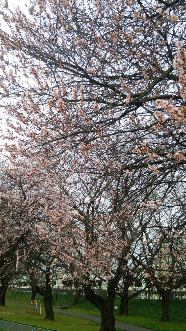 川苔谷へGO　二回目の巻