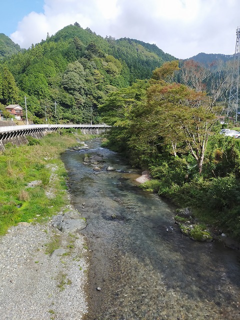 名栗川　経由　柳瀬川へGO!　鮎友釣り