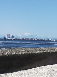ふなばし三番瀬へGO!　