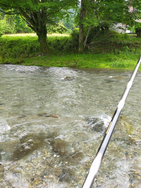 名栗川へGO!　鮎友釣り