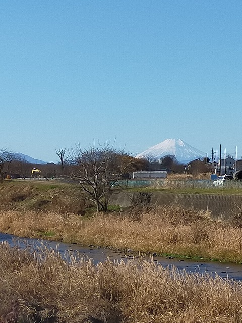 柳瀬川へGO!　オイカワのつもりが、、、。