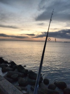 浦安へGO!　ルアーを投げる