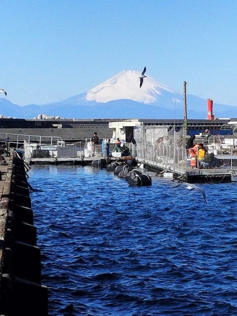 城ヶ島へGO!　風強し