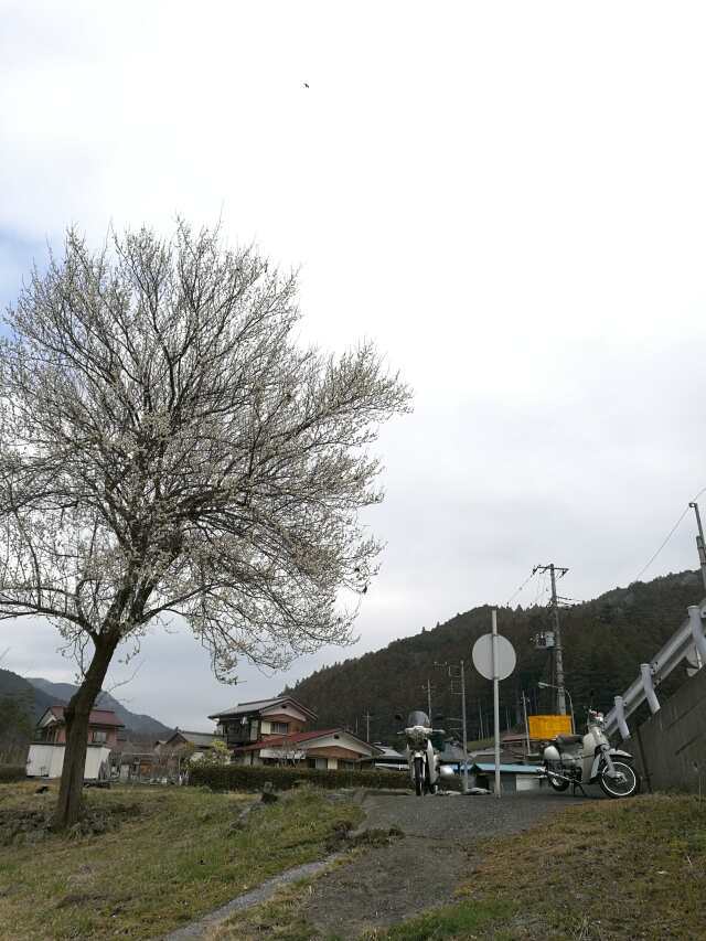 名栗川へＧＯ！　本流＆源流へ！
