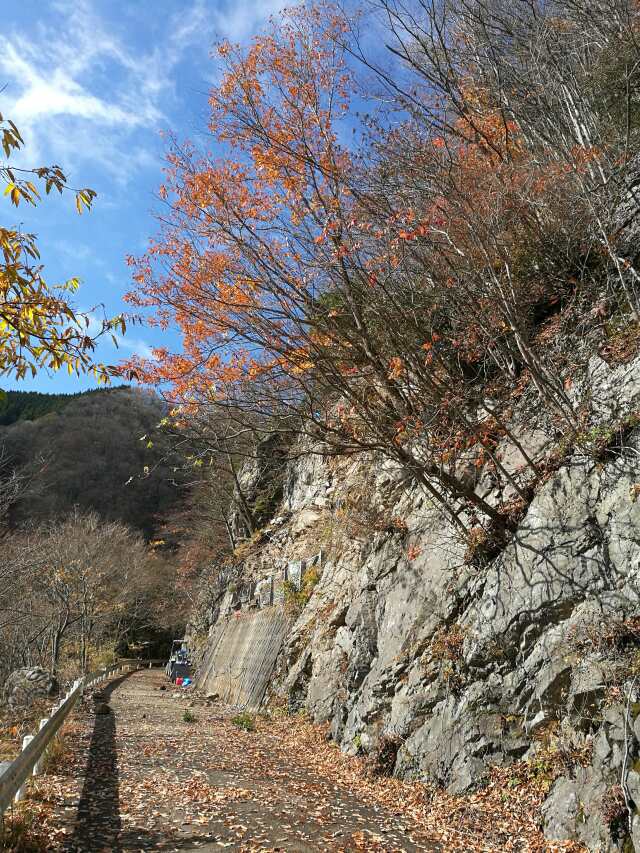 有間峠へGO! 山歩き 有間峠へGO! 山歩き