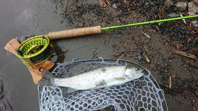 魚と釣り人の境界線 21年3 22 月 芦ノ湖釣行