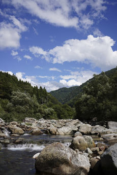 高原川水系の2023は終了