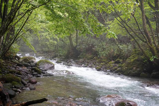 悲報、カメラ水没（泣）