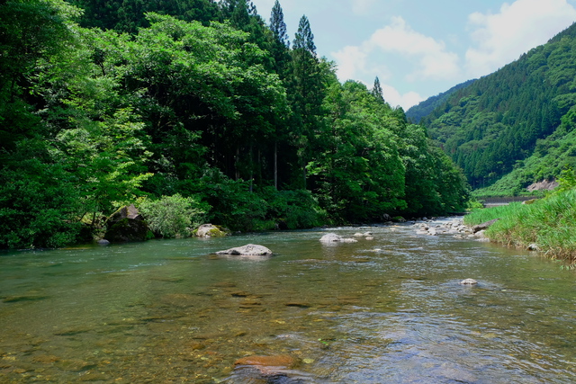 大野市漁協3河川トライも「ボ」