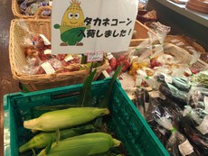 チビイワナのみ、秋神の被害状況調査