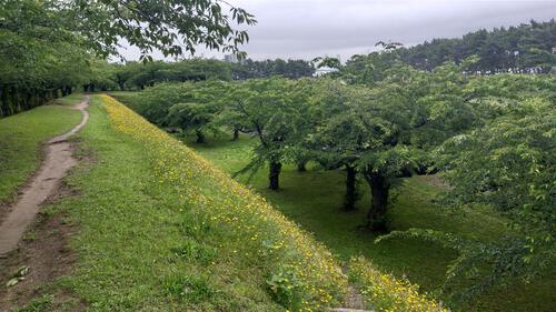 北海道ツーリング行ってきました　その6