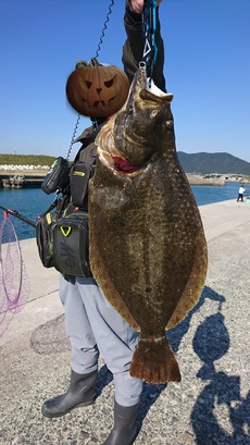 釣り友さんの釣果 2017/11/22 02:49:33