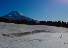 雪だぁ