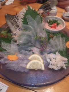 本日のささの離