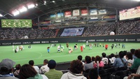 ビール半額デー2015