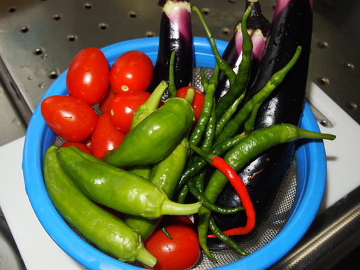 朝採り野菜