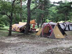 夏キャンプ〜白馬グリーンスポーツの森〜