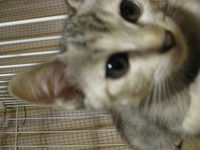 初回ワクチン接種完了！ 2013/09/22 14:48:23