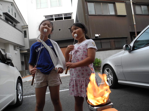 BioLite CampStove　「話題の？焚火発電ストーブ」 レポ