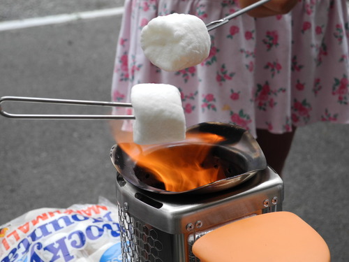 BioLite CampStove　「話題の？焚火発電ストーブ」 レポ